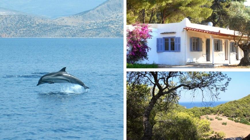 ammirare i delfini alla organic farmhouse by the sea, Grecia