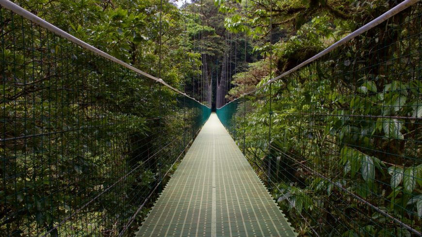 monteverde riserva naturale