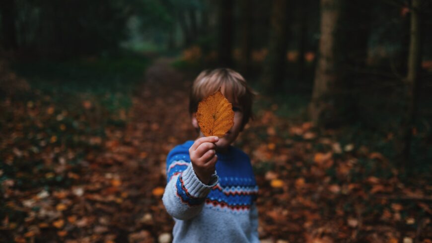 Un bambino in una foresta tiene una foglia