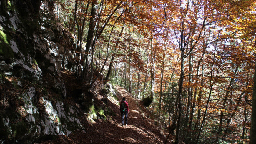 Itinerario d'autunno nella Valle del Vanoi, foliage