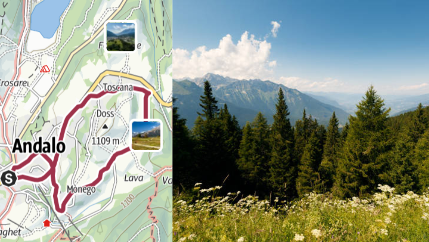 Dalla scoperta dei vecchi masi al punto panoramico delle Dolomiti di Brenta.