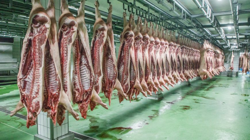 L'impronta ecologica dell'industria alimentare della carne è particolarmente importante