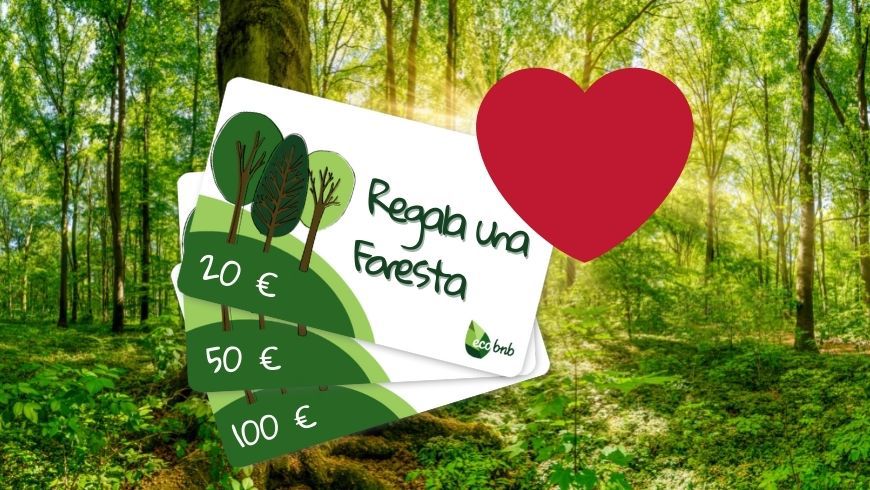 gift card foresta secolare