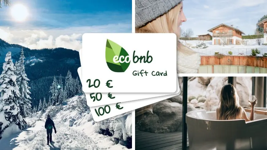 Regali di Natale eco-friendly: un'esperienza unica con le gift card di ecobnb