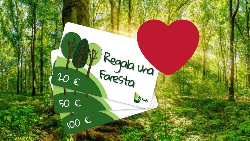 Gift card Regala una foresta