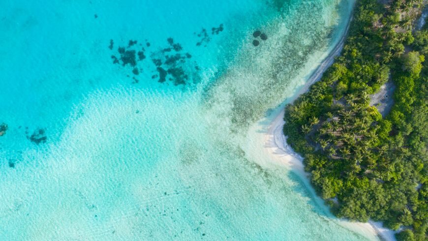 Il progetto della Bicocca di Milano per Salvaguardare la biodiversità delle Maldive