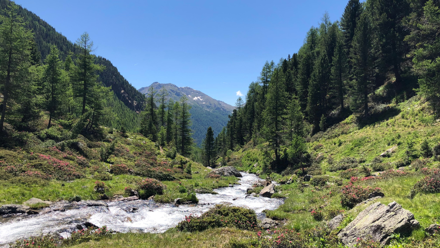 Val d'Ultimo, Alto Adige