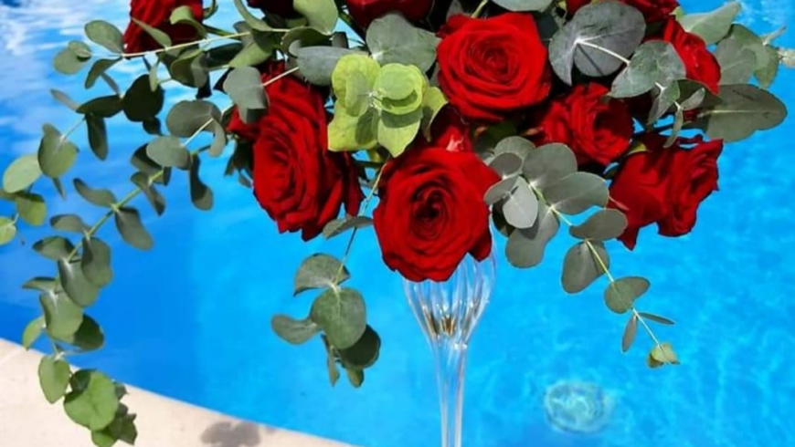 vaso di rose con piscina 