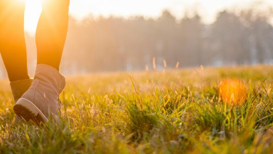 pariwisata dan jejak wisatawan