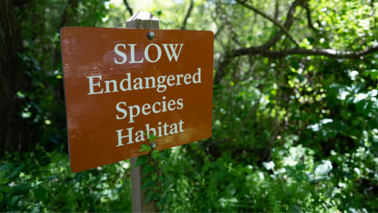 A sign which warns travellers that the area is an Endangered Species Habitat