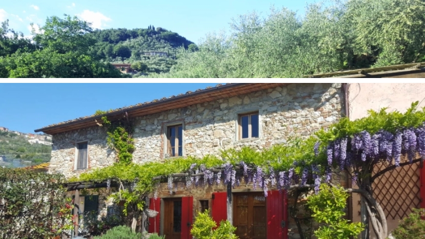 Corte del Falco, a restored farmhouse typical of rural Tuscany, with flowers and a panoramic view on the hills.
