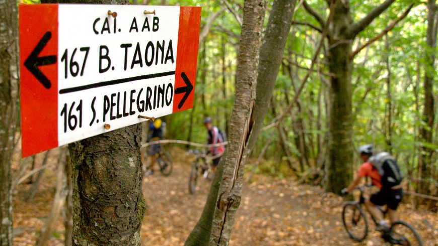 Bike itineraries in the wood