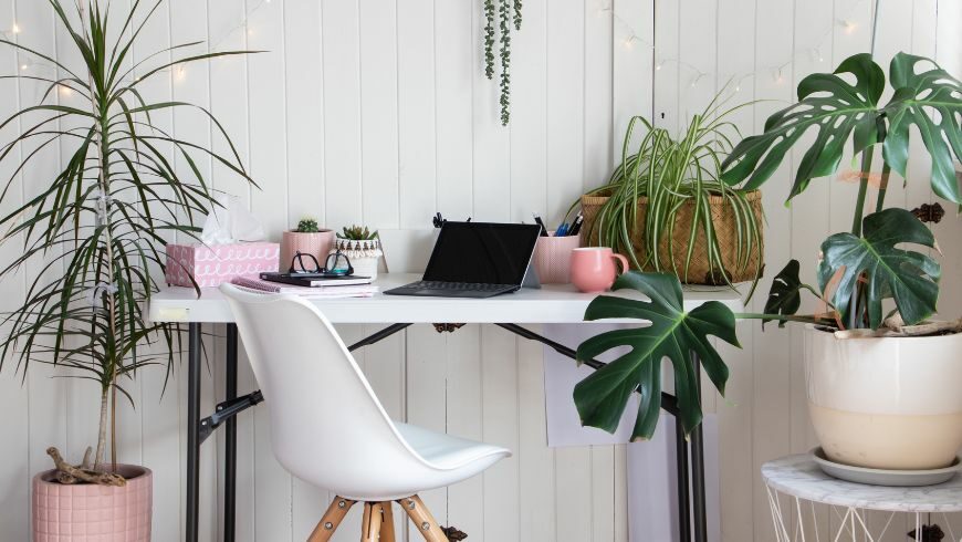 Le piante in ufficio danno un valore estetico oltre a migliorare l'aria interna dell'edificio