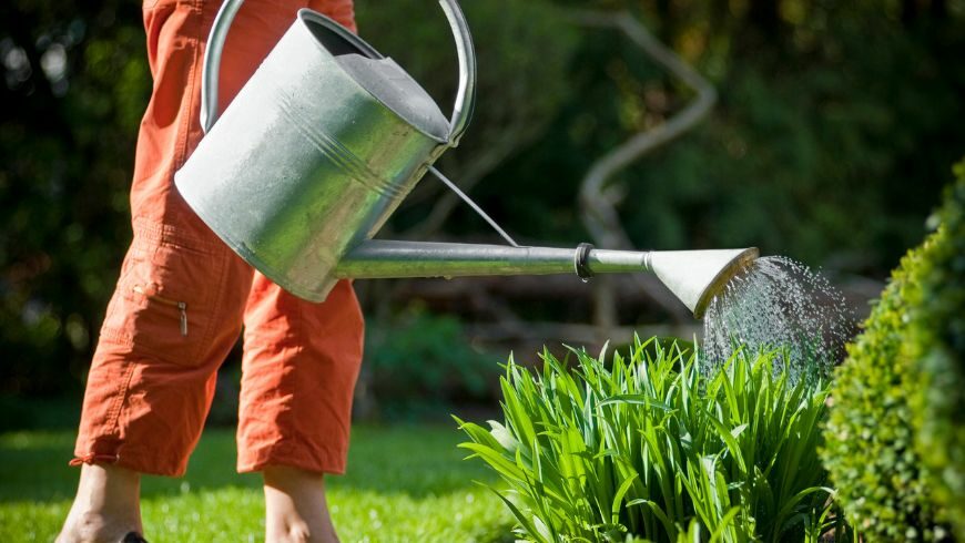 Organizzare il tuo giardino ti aiuterà a risparmiare acqua
