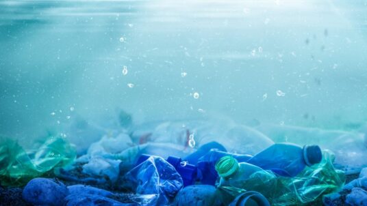 Earth Day 2024: Pianeta vs. Plastica - Ecobnb