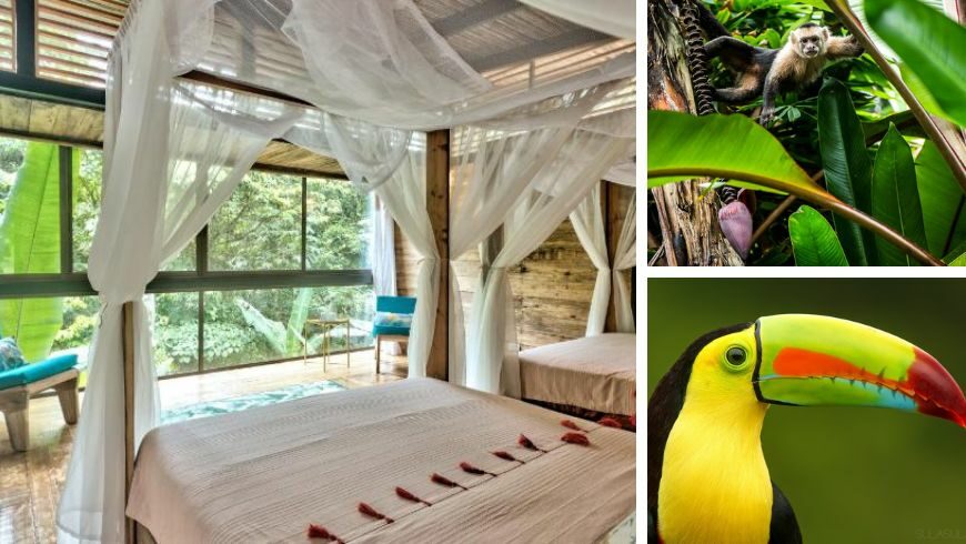 Simple Rooms in Paradise, Costa Rica