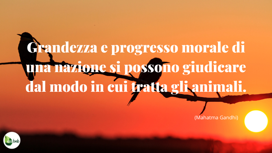 Citazione di Mahatma Gandhi