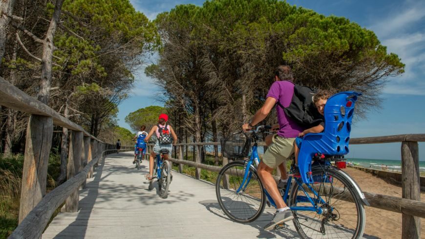 viaggio eco-friendly in bicicletta