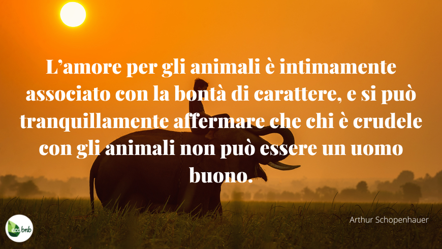 Arthur Schopenhauer sugli animali e l'uomo