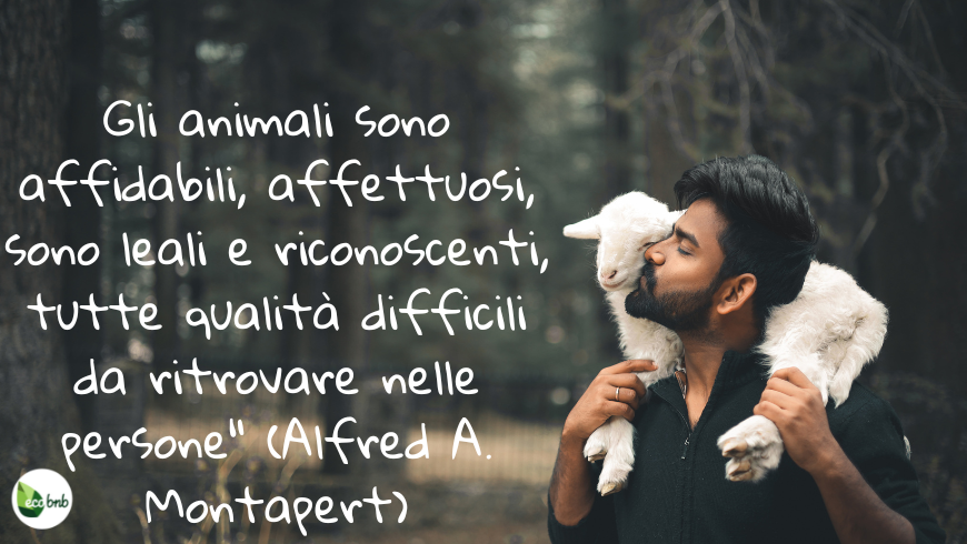 Montapert: gli animali son affidabili e affettuosi 