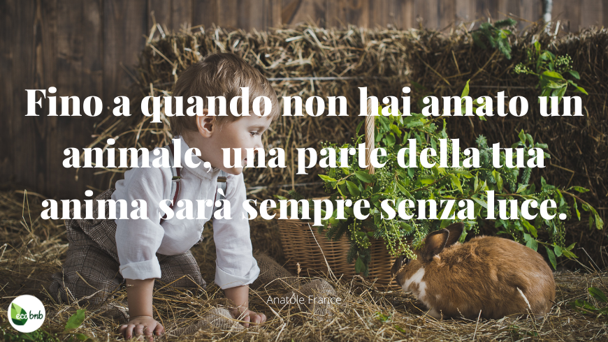 Frase di Anatole France sugli animali