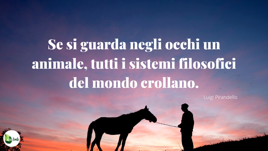 Citazione di Luigi Pirandello sugli animali