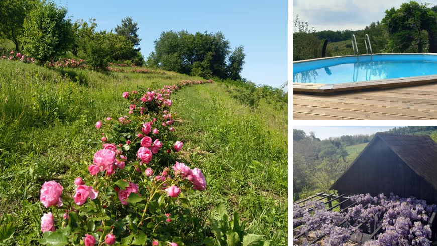 Rose Hip Hill: un'oasi di natura e sostenibilità a Breznica