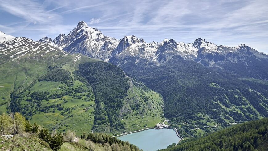 Bosco dell'Alevè