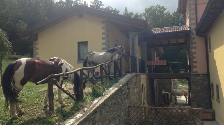 Un Agriturismo Biologico sul Lago Brasimone