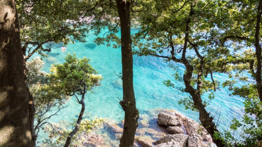 Vista del mare lungo il sentiero Camogli-Portofino