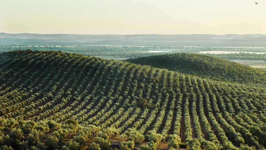 Alentejo