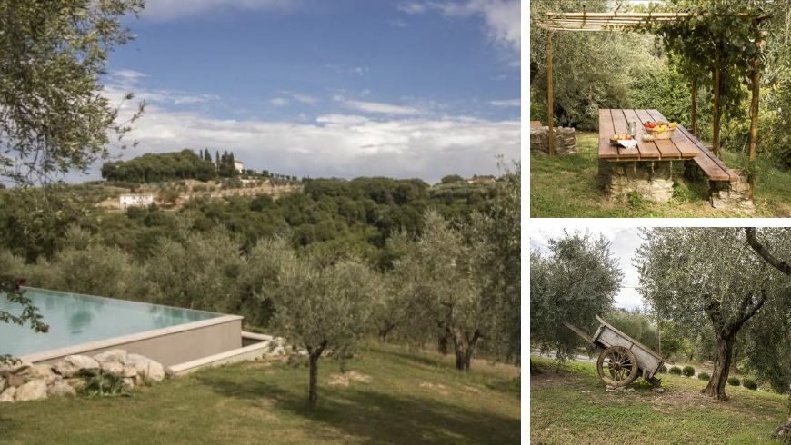 agriturismo biologico tra gli ulivi in toscana