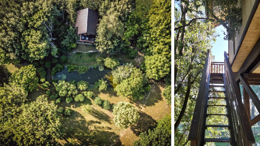 bioarchitettura della casa sull'albero awen