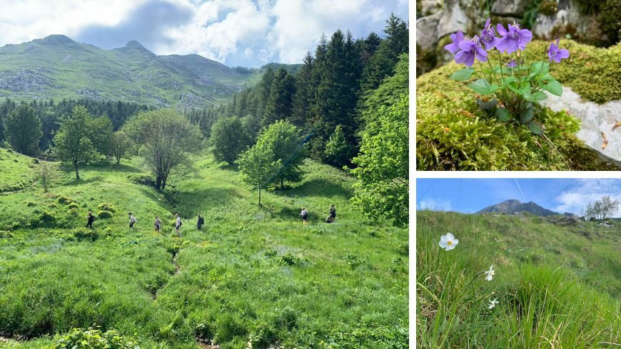 Escursioni  a piedi vicino all'Ostello di Pania Forata