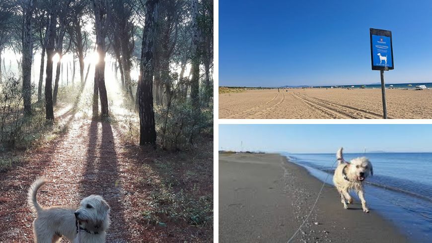 Residence pet friendly sul mare in Maremma