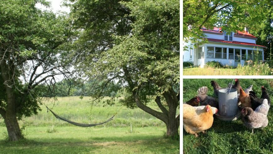 Un soggiorno in una fattoria biologica a Brantford