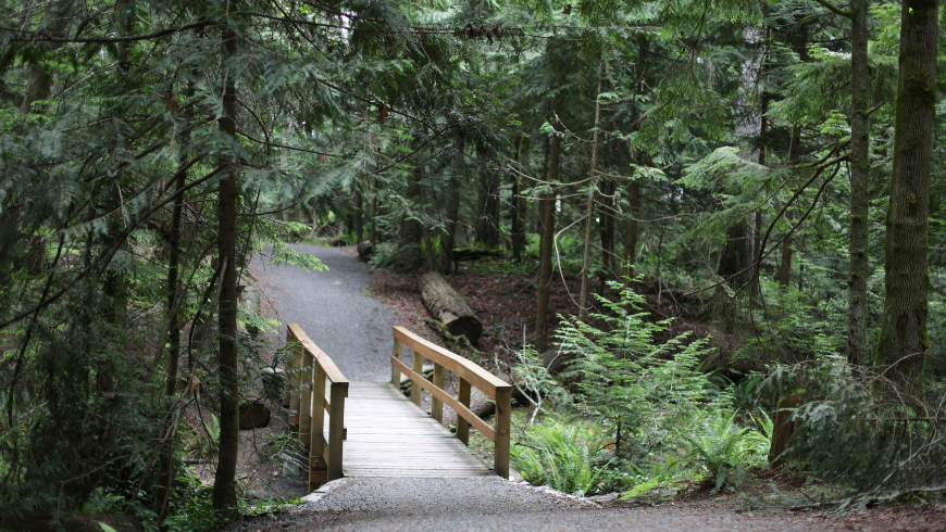 Trans Canada Trail