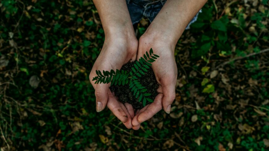 Rispetto per l'ambiente