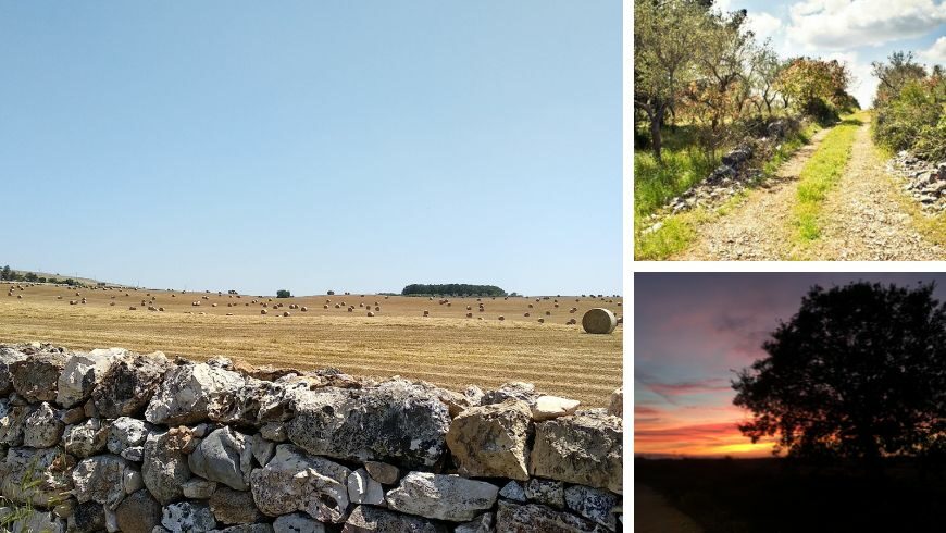 Le bellezze paesaggistiche del Parco Alta Murgia