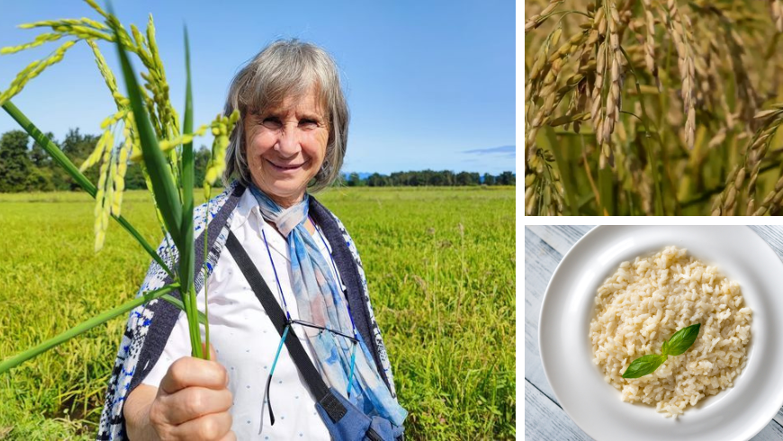 Maria Paola della Cascina Teglio, fornitrice di riso biologico di Casa Payer