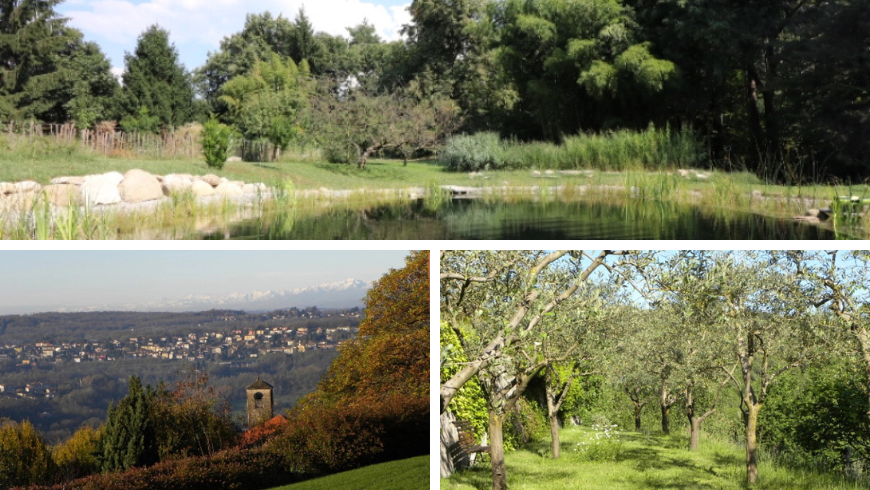 La natura attorno la cascina 