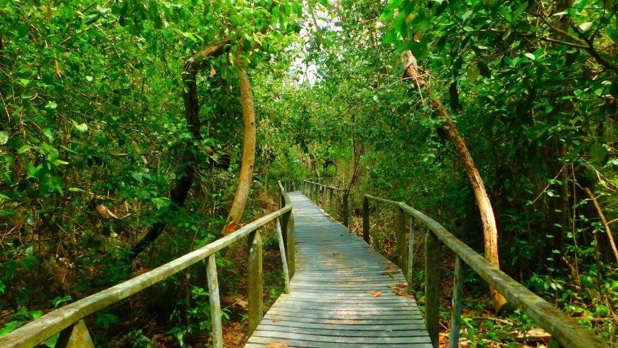 Cahuita National Park trails. Il futuro dell'ecoturismo nei caraibi