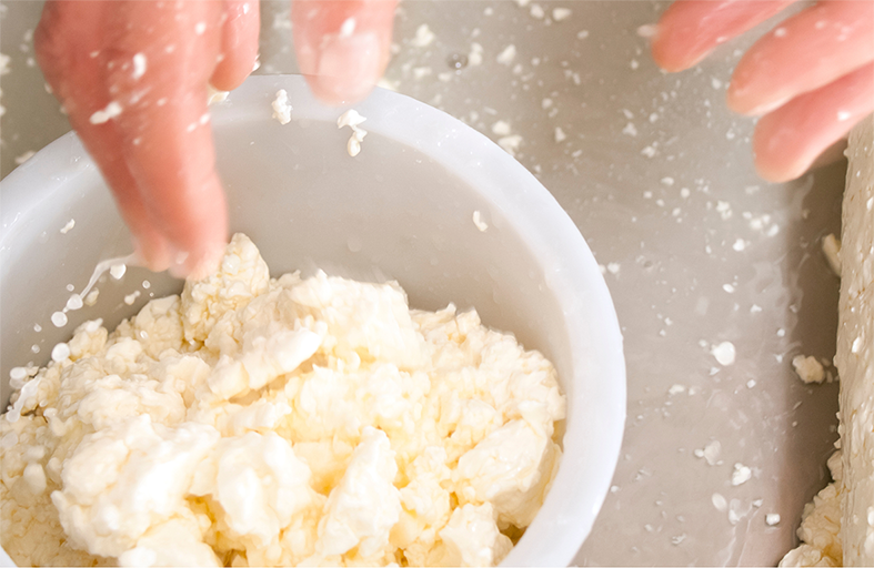 Corso per imparare a fare la ricotta e il formaggio