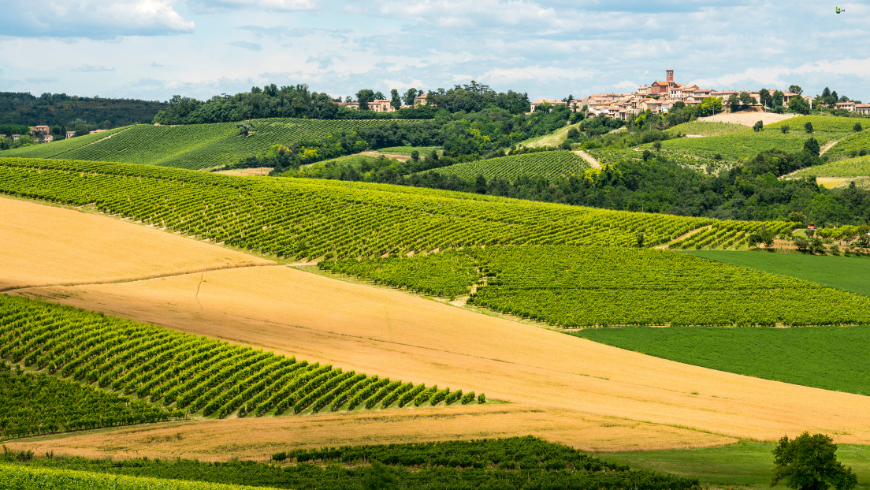 Panorami nel Monferrato