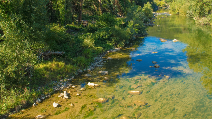 Riserva Naturale dell'Alto Merse