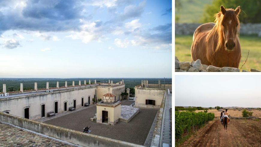 biomasseria Lama di Luna, struttura eco-friendly e suggestiva nel cuore dell'Alta Murgia, cavallo