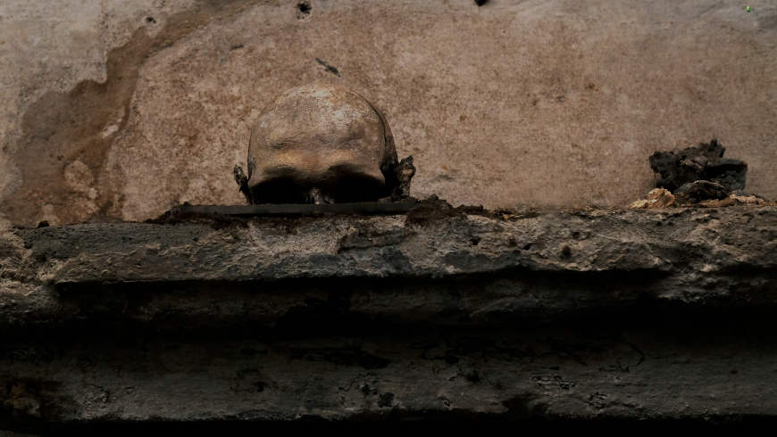 Il teschio con le orecchie all'interno della Chiesa di Santa Luciella ai Librai