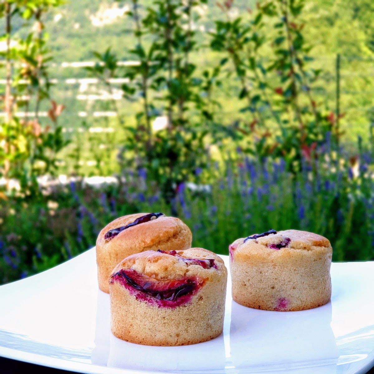 COlazione bio in Trentino