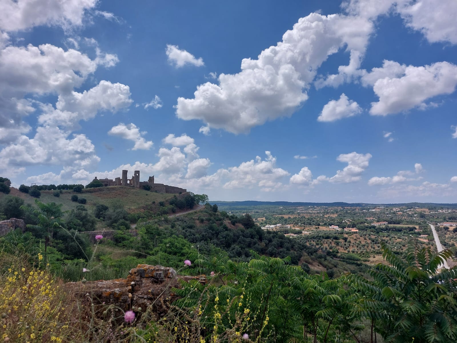 montemor-o-novo-un-viaggio-nel-cuore-dell-alentejo-ecobnb