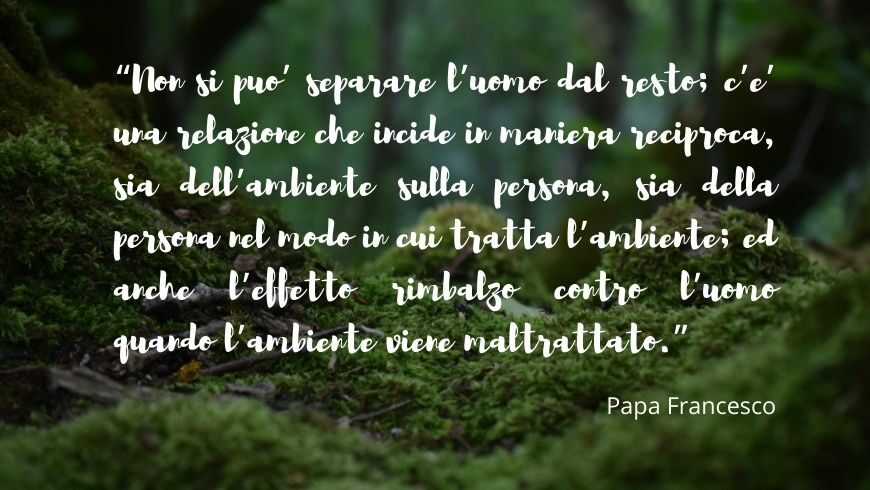 non si può separare l'uomo dal resto, citazione papa francesco, ambiente